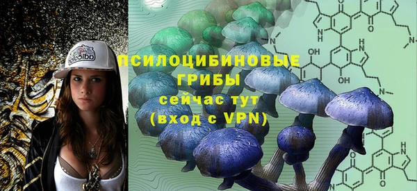 герыч Алзамай