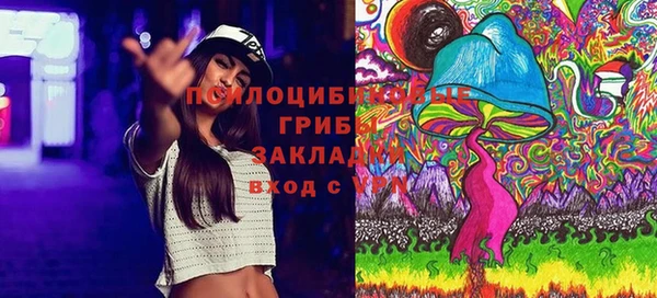герыч Алзамай
