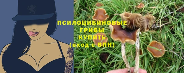 прущие крисы Абинск