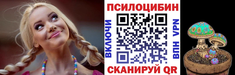 Псилоцибиновые грибы прущие грибы  купить наркоту  Бежецк 